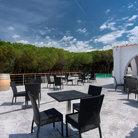 Q Ξενοδοχείο